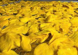 Venta al por mayor con Mango Seco de Vietnam Bueno para el cuerpo para exportar Delicioso dulce Estilo a granel Mejor embalaje - Product Image 5