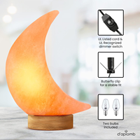 Lampe lune en sel rose de l'Himalaya naturel sculpté, lumière d'ambiance pour chambre à coucher, décoration intérieure