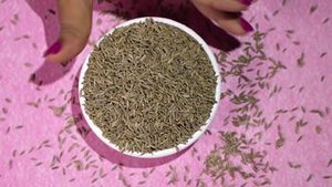 เมล็ดยี่หร่าอินเดียสดแบบยาวเกรดพรีเมียม ยี่หร่าดิบแปรรูป รักษาคุณภาพได้นาน 24 เดือน สำหรับขายส่งเครื่องเทศทั่วโลก - Product Image 3