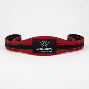 Banda de Resistencia de Neopreno de Alto Rendimiento para Entrenamiento de Fuerza, Marca Wilson Industry, para Asistencia en Press de Banca - Product Image 1