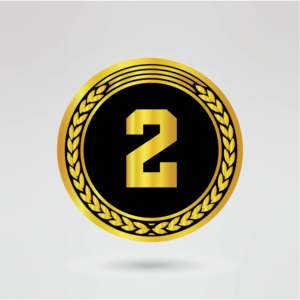 Ceinture de championnat de lutte personnalisée avec logo sur quatre côtés, en laiton et en zinc, avec plaque centrale dorée, sangle noire, entièrement personnalisable - Product Image 5