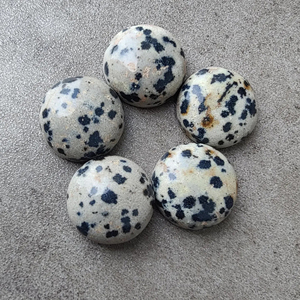 Jaspe Dalmatien Naturel, Cabochon Rond à Dos Plat, Pierre Précieuse Calibrée en Vrac, Toutes Tailles Disponibles - Product Image 2