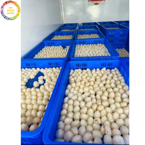 Lychees surgelés IQF emballés sous vide, sans sucre ajouté, fruit tropical sucré, vente en gros, qualité supérieure, produit d'exportation - Product Image 4