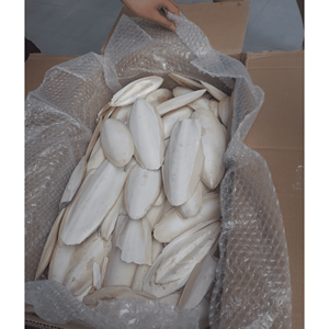 Os de seiche, coquille de calmar naturelle, matériau pour accessoires de cage, décoration d'aquarium et usage pour animaux de compagnie, Vietnam - Product Image 1
