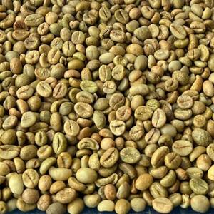 Café en Grano a Granel de Alta Calidad A, 60 kg, Pureza del 95 al 99%, Robusta Honey Tamaño 16, Vietnam, Verde Puro - Product Image 3