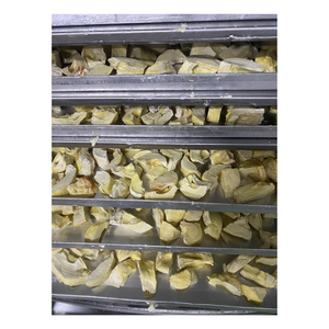 Rodajas de Durian Liofilizadas Más Vendidas, Grado Premium, 100% Natural, Sabor Dulce, Paquete a Granel, Directo de Fábrica en Vietnam, Precio Competitivo - Product Image 5