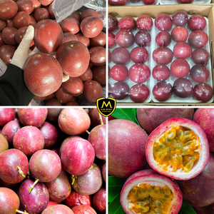 Maracuyá Fresco Natural de Vietnam _ Exportador Profesional B2B para Mercados Globales - Product Image 4