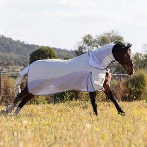 Couverture d'hiver imperméable de haute qualité pour chevaux, modèle standard, personnalisable pour fournisseurs équestres - Product Image 1
