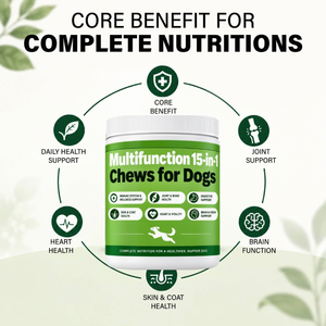 Friandises à Mâcher Multivitaminées pour Animaux de Compagnie, Riches en Protéines 2,5g, pour Chiens et Chats, Soutien Immunitaire, Complément Alimentaire, Marque Privée, OEM, ODM, Personnalisation en Gros - Product Image 2