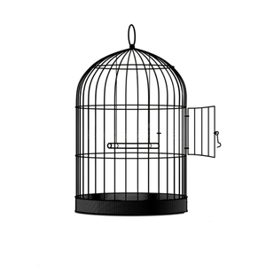 Cage à oiseaux élégante en métal peint avec motif floral, cage ronde suspendable pour petits oiseaux, utilisation en intérieur, toutes saisons - Product Image 5