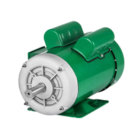 Moteur asynchrone AC Power Tech 115/230V 60Hz 1800 tr/min 4 pôles 1 CV pour usage agricole, couple élevé, monophasé, boîtier en acier, protection IP54