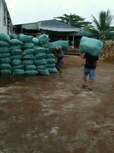 Bloque de Turba de Coco Biodegradable de Alta Calidad, Bajo EC, Orgánico, Marca Privada OEM, Exportación, Blue Lotus Farm Ben Tre - Product Image 5