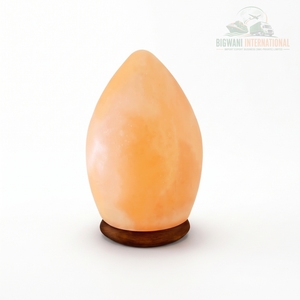 Lámpara de Cristal con Forma de Huevo y Base de Madera, Ecológica y Hecha a Mano para Decoración del Hogar y Oficina, Iluminación Ambiental y Purificación del Aire - Product Image 1