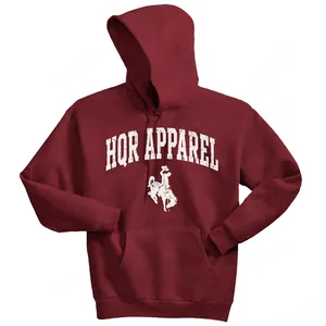 Fabrication de sweats à capuche pour hommes en polaire polyester de haute qualité, 300 grammes, écologiques, avec logo personnalisé, sweats à capuche vierges - Product Image 1