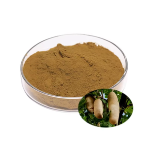 Poudre de fruit de Kigelia en gros, 100% pure et naturelle, poudre d'herbe Kigelia Africana au meilleur prix, provenant d'Inde - Product Image 2