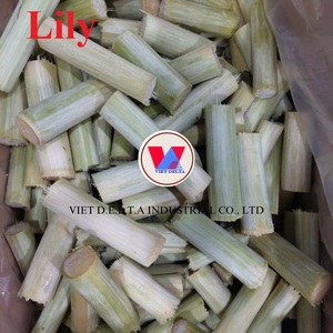 แท่งอ้อยสดแช่แข็ง-เหมาะสำหรับการคั้นน้ำและอาหารว่าง/ดอกลิลลี่ - Product Image 6