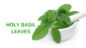 100% Pure Natural Basil Hydrosol Liquid (Leaves) | Premium Herbal Toner & Aromatic <b>Water</b> - Product Image 4