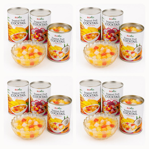 Delicious Hot Sale Special Offer Top Notch Quality Vietnam Manufacturer Supply Canned Mixed Tropical Fruits Bulk Supply - Product Image 1