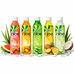 Bebida de Aloe Vera con Pulpa de Marca Privada 350ml 500ml Mango Piña Coco Sandía Proveedor de Bebidas OEM - Product Image 1