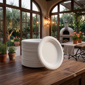Assiette ronde biodégradable de 6 pouces en bagasse de canne à sucre, compostable, jetable, pour collations et desserts - Product Image 2
