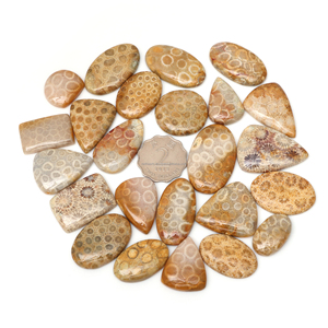 Cabochons de corail fossile de haute qualité, pierres naturelles pour bagues, colliers et artisanat décoratif - Product Image 6