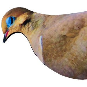 Leurre réaliste de colombe en PP pour la chasse en extérieur, simulation de silhouette de pigeon pleine grandeur - Product Image 3