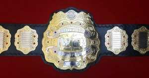 Cinturón de Trofeo para Ganador de Artes Marciales, Premio de Campeonato de Karate - Product Image 2