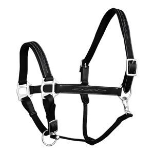 Cabestro de Cuero Genuino Personalizado para Caballo, Estilo Inglés, Acabado Cosido, Herrajes de Latón Niquelado, Narquera Acolchada - Product Image 1
