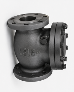 Factory Direct C-Way 2 Inch Class 150 Flanged Swing Check Valve Manual <b>PTFE</b> WCB Body Raised Face for Water Treatment Plants - Product Image 2