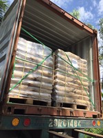 Direkt vom Hersteller: Organisches Arrowroot-Stärkepulver, natürliches Verdickungsmittel, geeignet für die Lebensmittelindustrie und Exportmärkte.