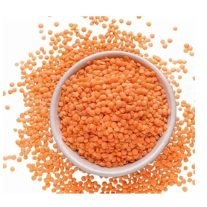 Lentejas Rojas Limpias para la Industria Alimentaria y Aplicaciones de Procesamiento a Gran Escala - Product Image 1