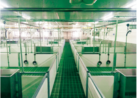 Plancher en plastique à lattes pour porcs, prix de gros usine 2026, pour ferme