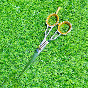 Professional Barber Hair Cutting Scissors Stainless Steel Beauty <b>Shears</b> for Salon and Home Use Precision Hairdressing <b>Tool</b> - Product Image 1