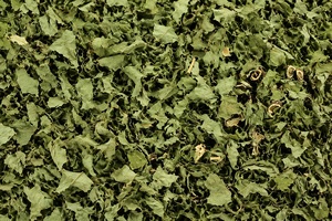 Feuilles séchées d'Adhatoda Vasica, ingrédient à base de plantes, feuilles entières d'Adhatoda Vasica naturelles, feuilles séchées d'Adhatoda Vasica de qualité supérieure - Product Image 2