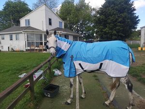 Couverture d'extérieur en maille Ripstop pour chevaux, idéale pour l'été chaud, avec design imperméable anti-mouches et durable, et 2 sangles de fixation aux pattes. - Product Image 1