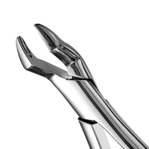 Pinzas de Extracción de Molares Superiores 10S, Instrumento Quirúrgico Dental de Acero Inoxidable, Herramienta Dental Dentada para Extracción de Dientes - Product Image 6