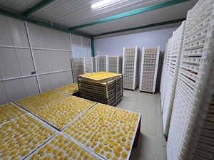 BLUE LOTUS FARM Piña Liofilizada Dulce 100% Piña, Snack de Fruta a Granel, Listo para Comer, Orgánico - Product Image 6
