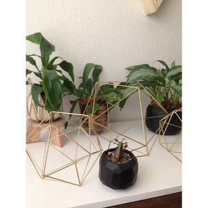 Terrario de Vidrio Geométrico Dorado, Macetero Moderno Hecho a Mano para Decoración de Bodas, Jardines y Viveros - Product Image 6