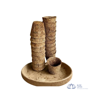 [BEST SELLING] | Coir <b>Pot</b> Eco Friendly Coconut Woven Planter For <b>Tree</b> Nursery <b>Plant</b> Propagation Agriculture Vietnam - Product Image 1