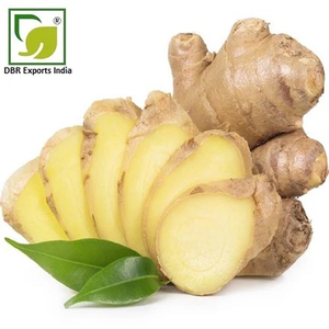 Fabricant et exportateur d'huile essentielle de gingembre naturelle d'Inde pour l'industrie cosmétique et parfumerie - Product Image 3