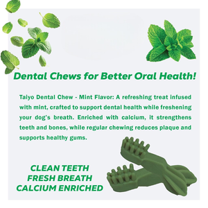 Bâton dentaire de qualité supérieure à mâcher saveur de menthe naturel sans grain double action santé bucco-dentaire friandises chiens haleine fraîche contrôle de la Plaque OEM - Product Image 3