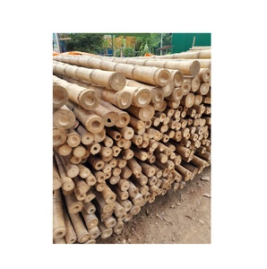 Raw natural bamboo poles from Vietnam <b>for</b> construction projects <b>decorative</b> <b>garden</b> <b>fencing</b> systems agricultural plant support - Product Image 5