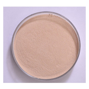 Enzyme protéase alcaline de qualité alimentaire avancée pour une meilleure digestion des protéines et l'amélioration de la qualité des aliments - Product Image 6