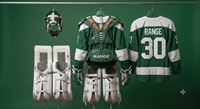 Maillot de gardien de but de hockey sur glace personnalisé imprimé, vert et blanc, 100 % polyester, séchage rapide, taille élastique, sans manches, adulte unisexe, logo OEM