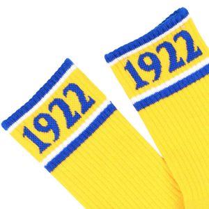 Chaussettes de sport unisexes Sigma Gamma Rho 1922 en coton, bleu roi et or, longueur mi-mollet, motif lettres grecques de la sororité, pour tenue décontractée et sportive - Product Image 3