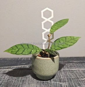 Enrejados de Gafas de Metal para interiores y exteriores, plantas de balcón, decoraciones de jardín y soporte para plantas - Product Image 6