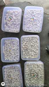 Nueces de makhana de la mejor calidad, makhana india, nueces de makhana secas para un refrigerio saludable - Product Image 3