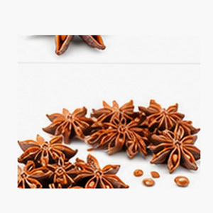 Anis étoilé entier séché, délicieux, prix de gros en promotion, fourni par un fabricant vietnamien, emballé en boîte de 5 kg - Product Image 1