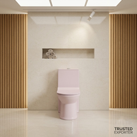 WC monobloc rose coloré en céramique à chasse d'eau par le sol, siphon en P, NANO GLAZE, double chasse, abattant à fermeture douce
