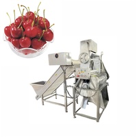 Geautomatiseerde voedselverwerkingsapparatuur GTQH-1 kersenontpitter voor groothandelsdistributie